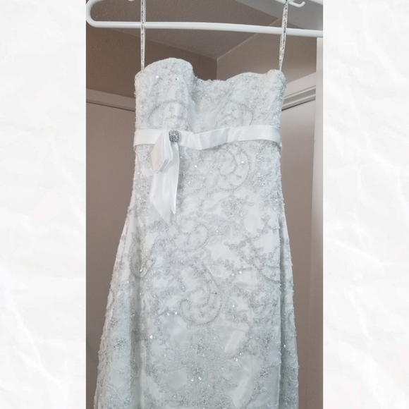 Sottero & Midgley Wedding Gown - Picture 12 of 12